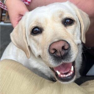 Meet your Posher, Cynthia